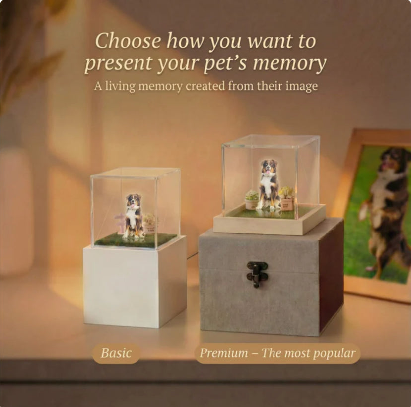 PetMmoria- Personalized Holographic Memory